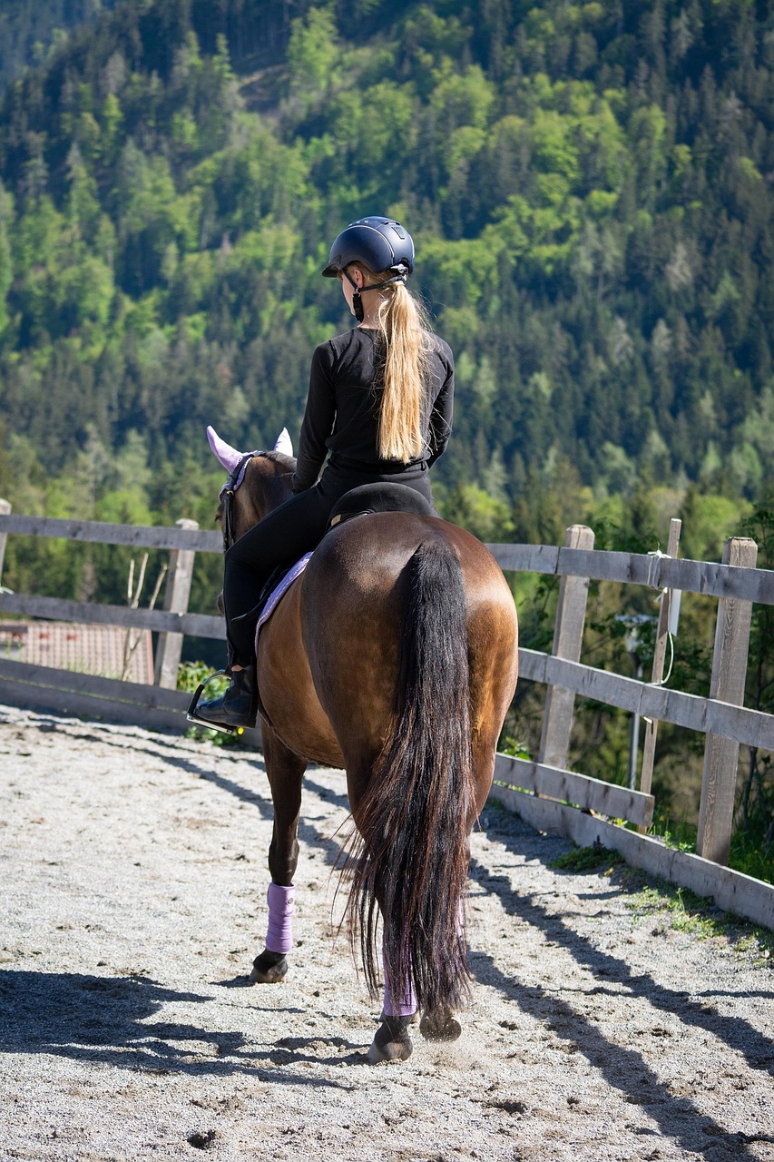 woman, horse, ride, equestrian, pony, nature, hobby, leisure, riding school, riding lessons, animal, mammal, saddle horse, riding pony