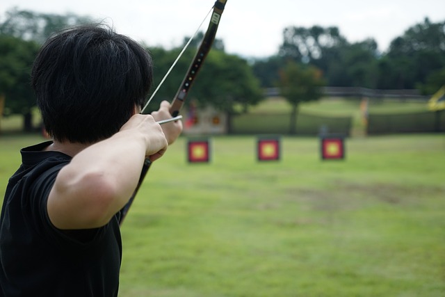 target, leisure, archer, bow, arrow, summer, wooden bow, traditional bow, nature, target, target, target, target, target, archer, archer, archer